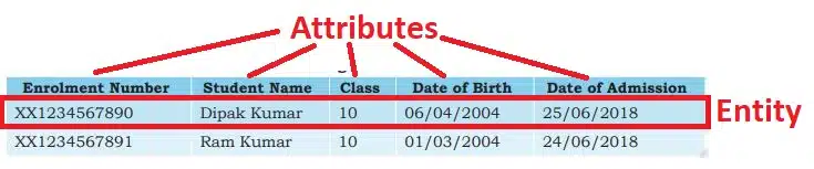 Database Management System Class 10 Questions and Answers entity in database