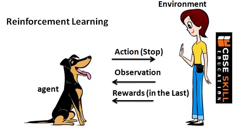 Neural Network Class 9 Notes reinforcement learning example in real life