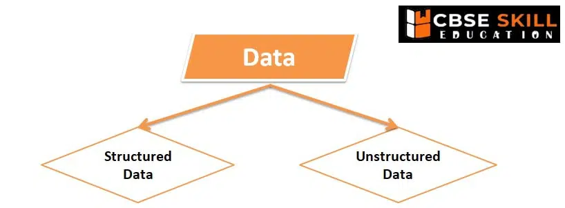 AI Reflection Project Cycle and Ethics Class 9 Notes type of data
