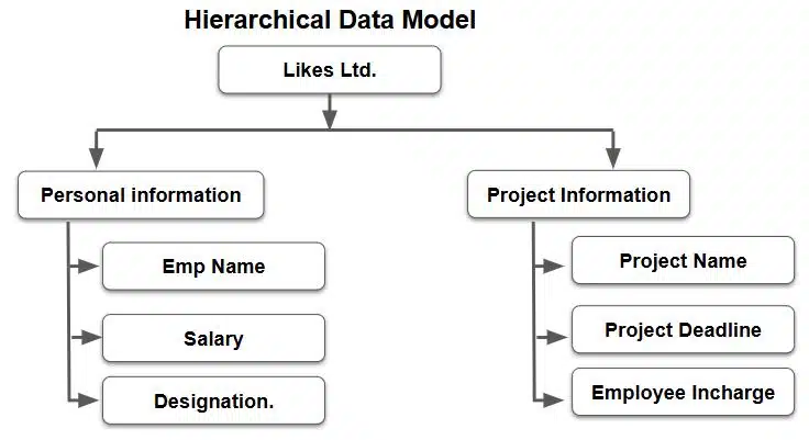 database management system class 10 hierarchical data model 