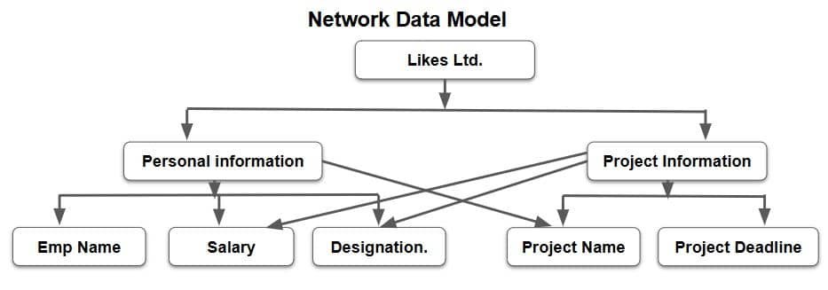 Database Management System Class 10 Questions and Answers database management system class 10 network data model 1