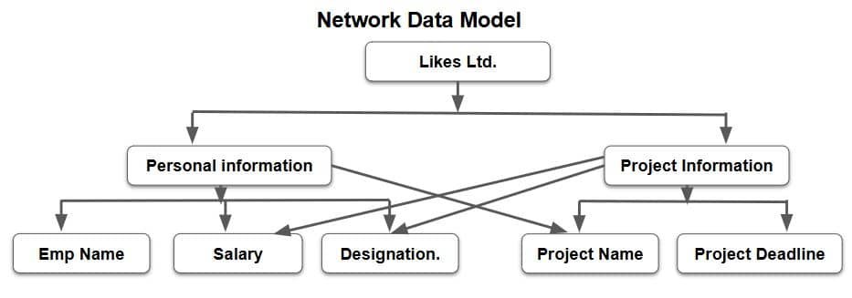 database management system class 10 network data model 1