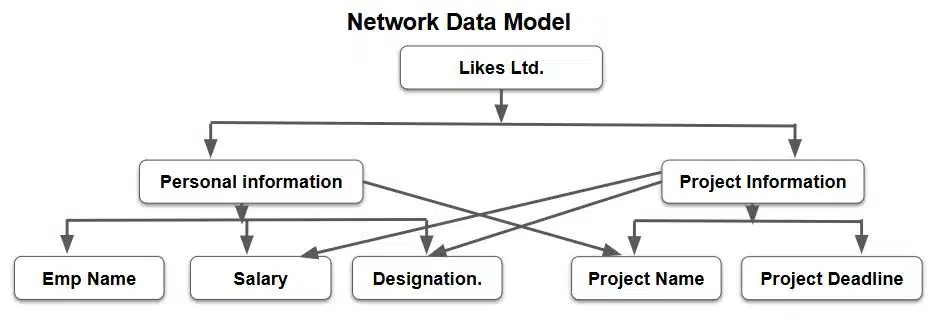 database management system class 10 network data model