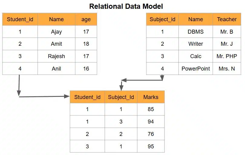 database management system class 10 relation data model