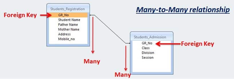 Database Management System Class 10 Notes IT 402 many to many record