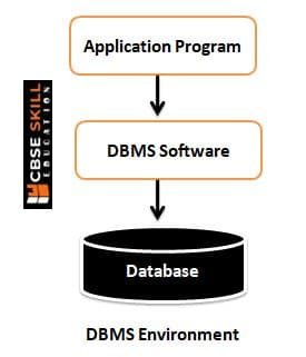 DBMS Environment