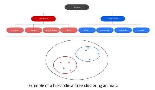 example of a hierarchical tree clustering