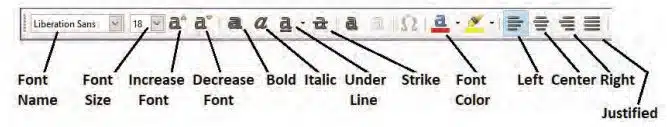 Digital Presentation Class 9 Notes fromatting toolbar