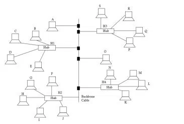 Computer Network Class 12 Notes | Computer Science tree topology