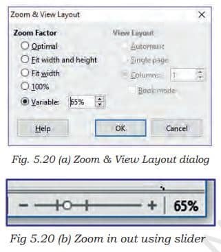 zoom and view layout