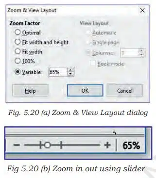 Digital Presentation Class 9 Notes zoom and view layout