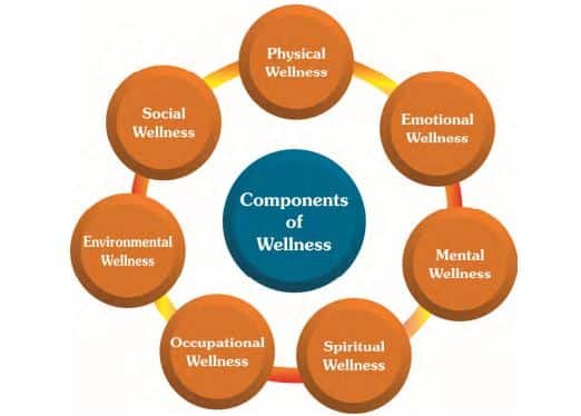 Physical Education Class 11 Chapter 5 Notes The seven components of wellness
