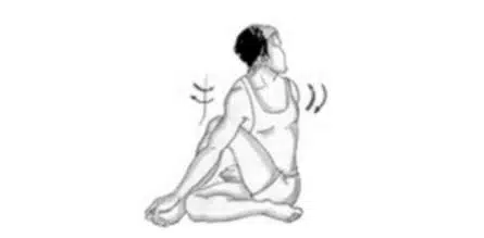 ardhamatsyendrasana