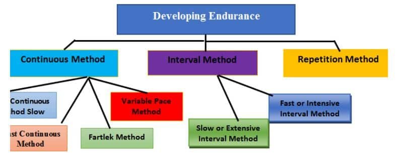 Training in Sports Class 12 Notes Methods to Develop Endurance
