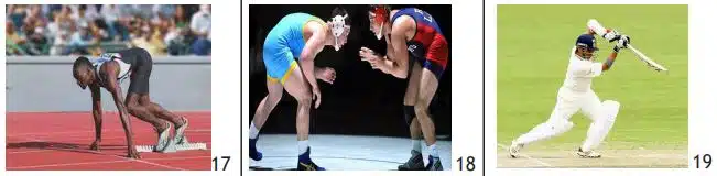 Static Equilibrium