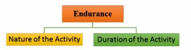Training in Sports Class 12 Notes endurance