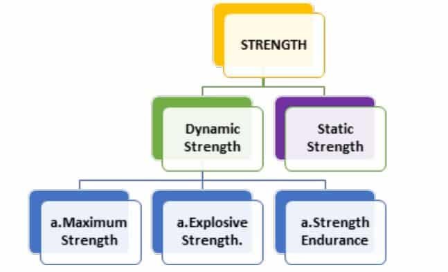 Training in Sports Class 12 Notes strength in sports