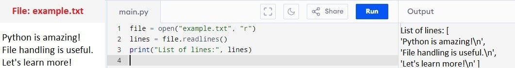 File Handling in Python Class 12 Notes | Computer Science readlines() method in python