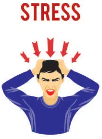 Self Management Skills Class 10 Notes PDF Quick Guide self management skills class 10 notes