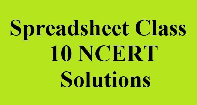 Electronic Spreadsheet Class 10 NCERT Solutions