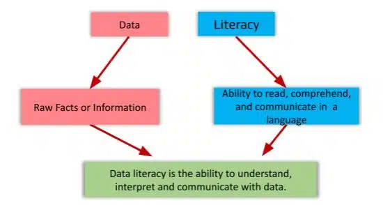 Data Literacy Class 9 AI notes data literacy
