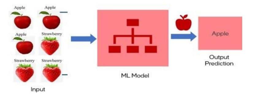 Block Representation Machine Learning 