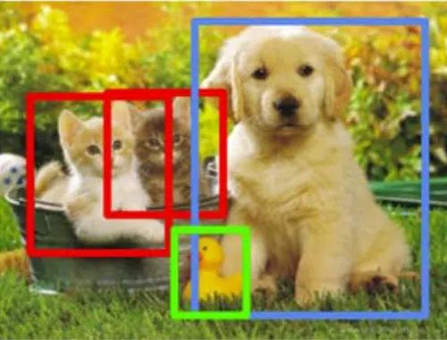 Computer vision cat dog duck image
