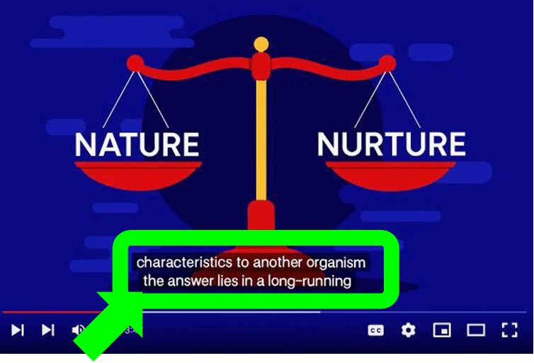 Identify the application of NLP shown in the given picture