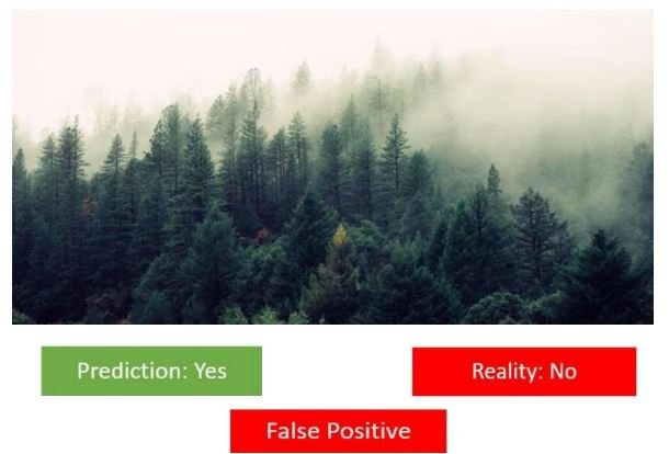 Is there a forest fire 1