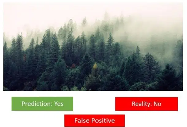 Is there a forest fire 1