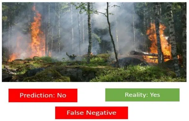 Is there a forest fire 2