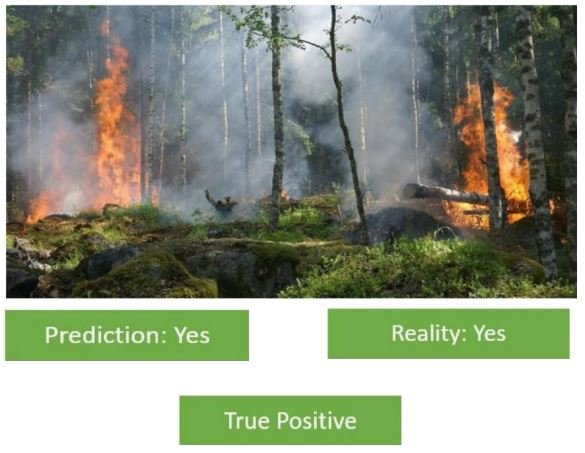 Is there a forest fire Here  we can see in the picture that a forest fire has broken out in the forest