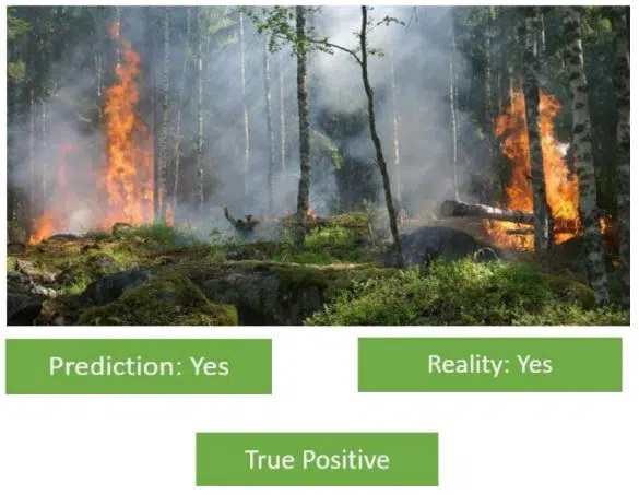 Is there a forest fire Here  we can see in the picture that a forest fire has broken out in the forest