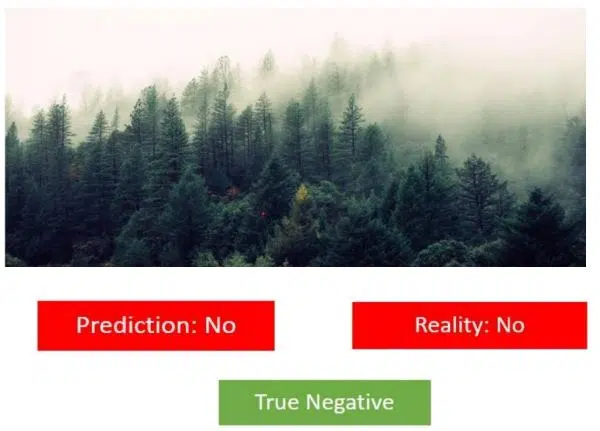 Is there a forest fire