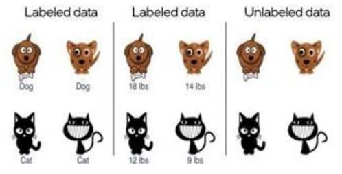 What are Labeled Data