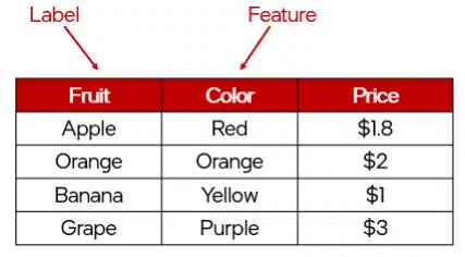 Advance Concepts of Modeling in AI class 10 notes What are Labels