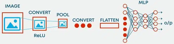 Understanding of Neural Networks Class 12 Notes Convolutional Neural Network (CNN)