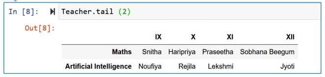 Python in AI Class 11 Notes Displaying last n rows (here n = 2)
