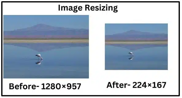 Making Machines See Class 12 Notes Resizing or Cropping image