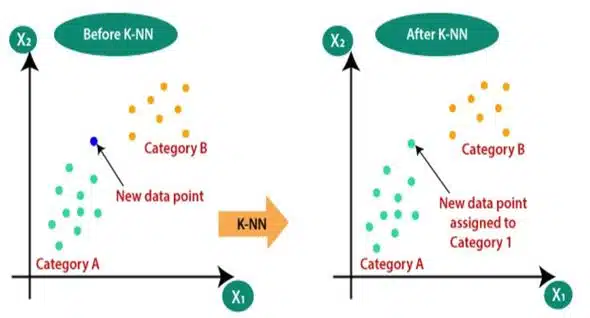 Machine Learning Algorithms Class 11 Notes Why KNN Algorithm is Needed