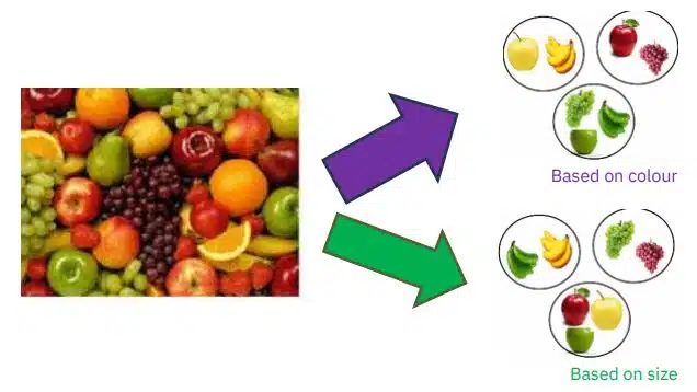 Machine Learning Algorithms Class 11 Notes clustering of fruits section