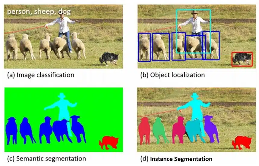 Making Machines See Class 12 Notes image classification, object localization, semantic segmentation and instance segmentation in computer vision