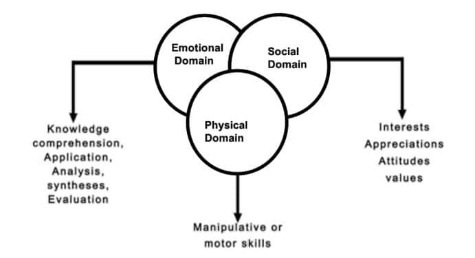 Role of Physical Education in Child Development Class 9 Notes Domains for Early Childhood Development