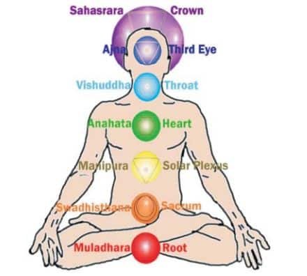 Introduction to Yoga and Yogic Practices Class 11 Notes asana