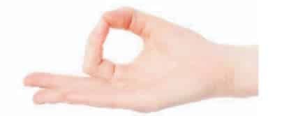 Introduction to Yoga and Yogic Practices Class 11 Notes mudra