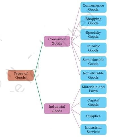Receiving and Storage of Goods Class 9 Notes types of goods