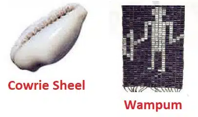 symbolic money cowrie shell and wampum