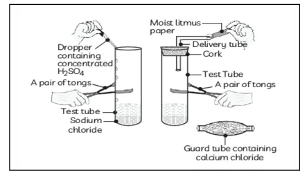 Science Class 10 MCQ Sample Paper 2 1 21