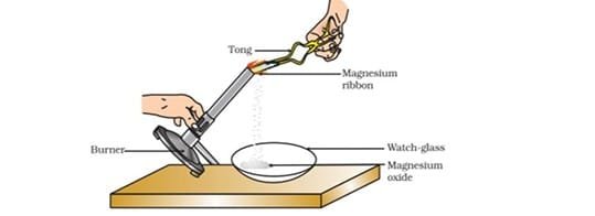 Science Class 10 MCQ Sample Paper 2 2 12