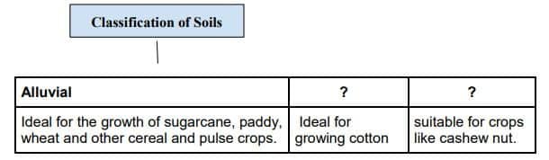 Identify the appropriate option to fill in the empty boxes